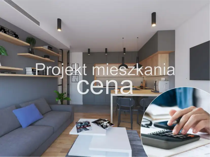 Nowoczesne mieszkanie w bloku z aneksem kuchennym i salonem. Projekt wnętrza z uwzględnieniem ceny.