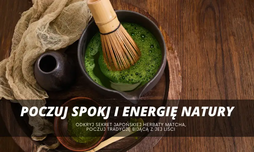 Matcha: Z czego powstaje? Poznaj sekret japońskiego proszku