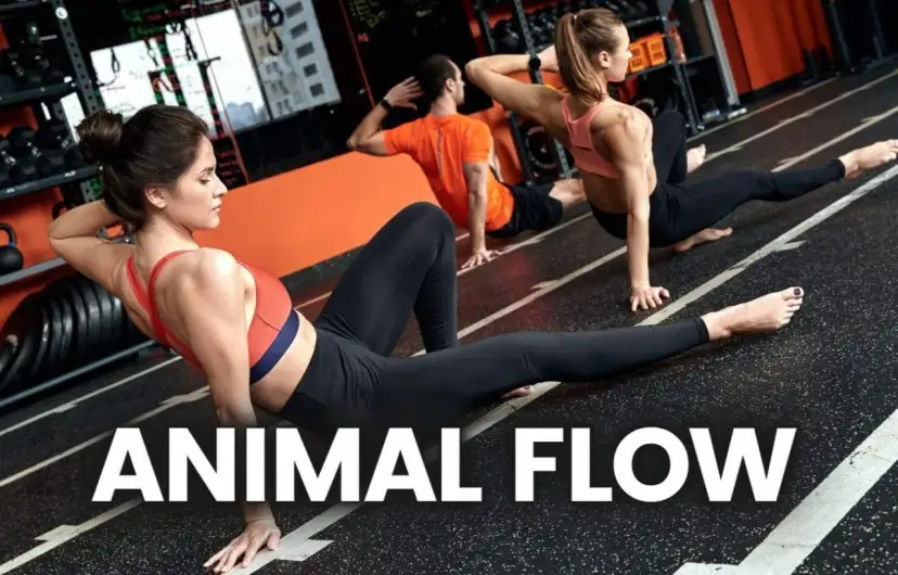 Trzy osoby ćwiczą w siłowni, wykonując ruchy inspirowane **animal flow**.