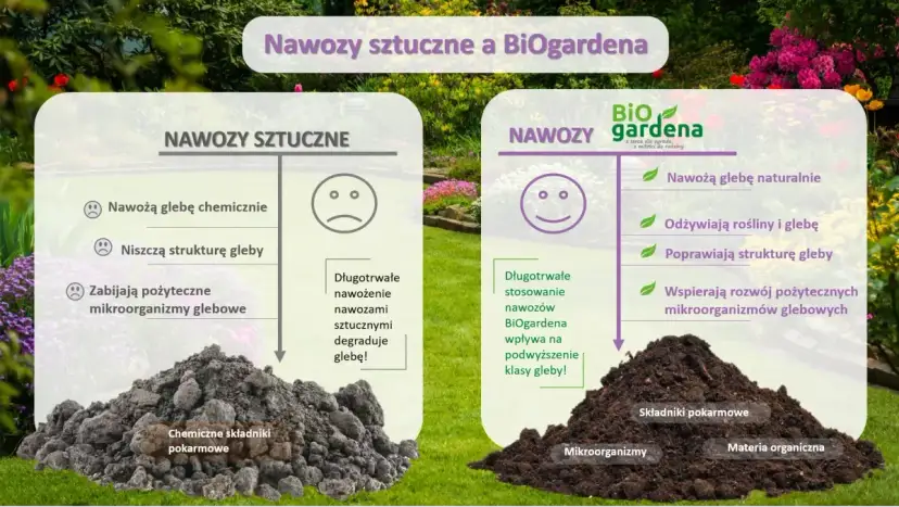 Jaki nawóz sztuczny pod warzywa? Sprawdź, jak uniknąć błędów w nawożeniu