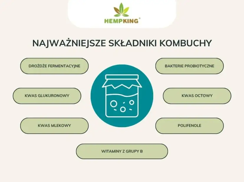 Kombucha: Ile może stać? Przechowywanie, trwałość i bezpieczeństwo