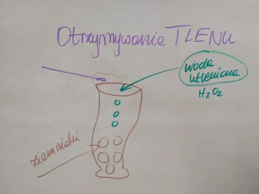 Otrzymywanie tlenu z wody utlenionej (peroxide co to) z użyciem ziemniaka.
