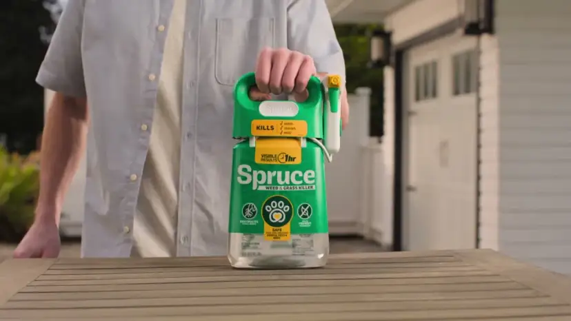 Mężczyzna trzyma butelkę środka "Spruce" - orkan na chwasty. Skutecznie zwalcza chwasty, trawy i mech.