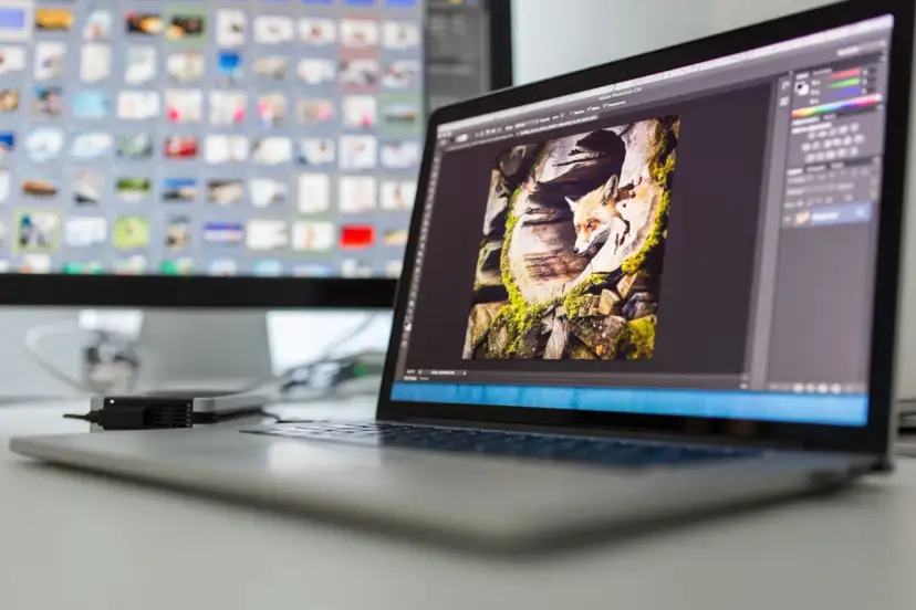 Lisek w kadrze programu Photoshop na ekranie laptopa.