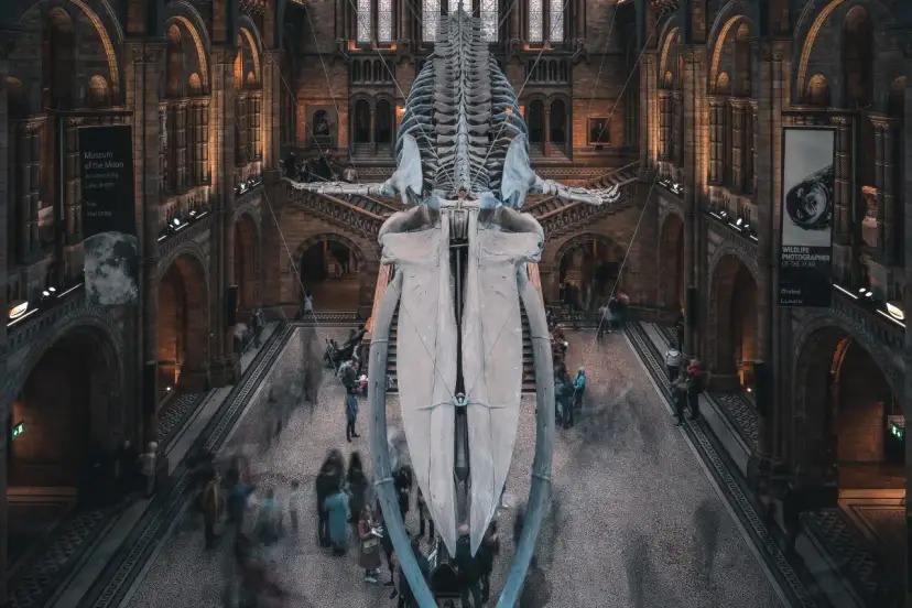 Londra gratis: Musei, parchi e attrazioni imperdibili a costo zero