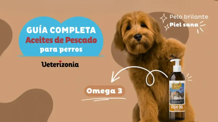 Guía completa de aceite de pescado para perros. Promueve pelo brillante y piel sana con Omega 3.