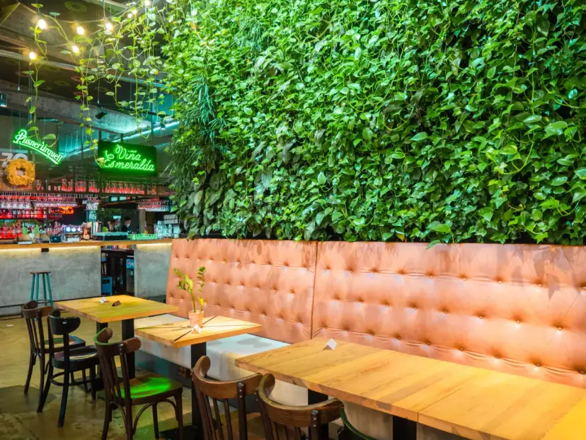 Wnętrze restauracji z zieloną ścianą i wygodnymi lożami. Idealne miejsce na odkrycie najlepszych restauracji w Krakowie - Ranking top 6.