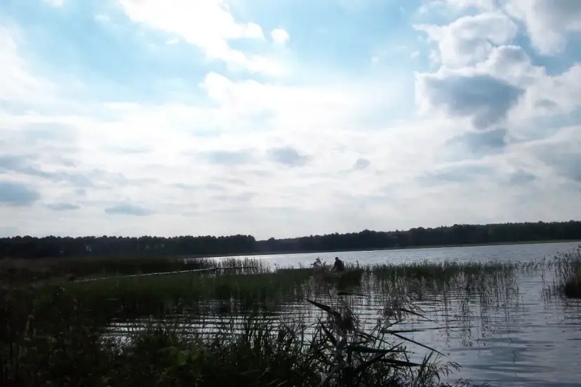 Spokojne jezioro Zagłębocze otoczone lasem, z trzcinami na brzegu i samotnym wędkarzem.