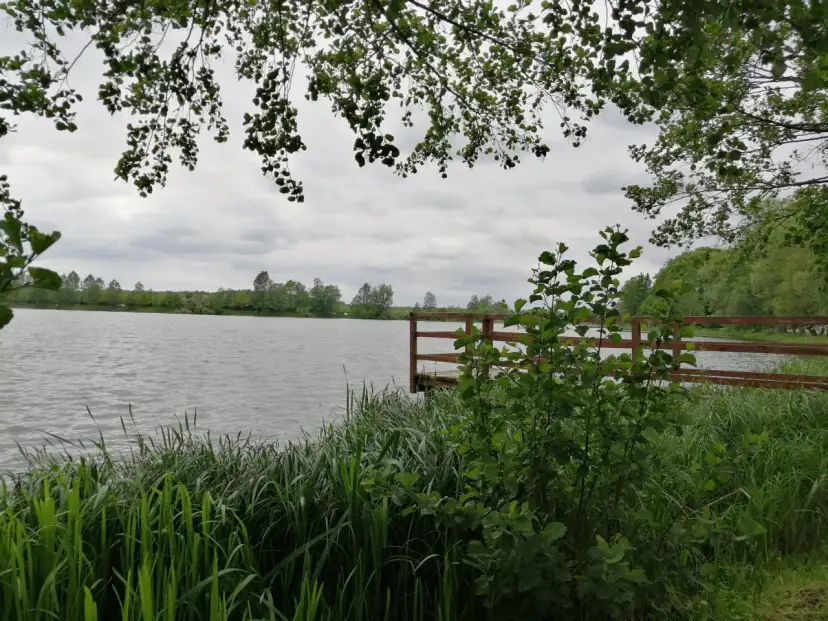 Widok na jezioro z pomostem, otoczone zielenią i zaroślami.
