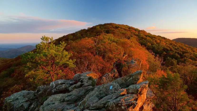 Le Blue Ridge Mountains: guida definitiva per un viaggio indimenticabile
