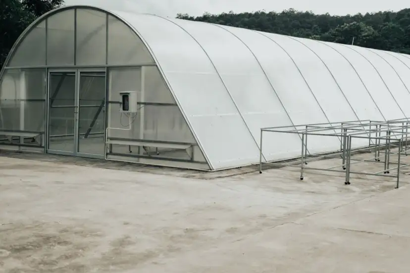 Zarobki z tunelu foliowego: Czy to się opłaca? Sprawdź kalkulacje.