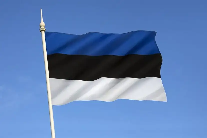 Jak wygląda flaga Estonii? Odkryj jej znaczenie i historię