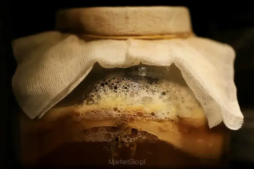 Kombucha: Czy ma alkohol? Ile? Kto powinien uważać?