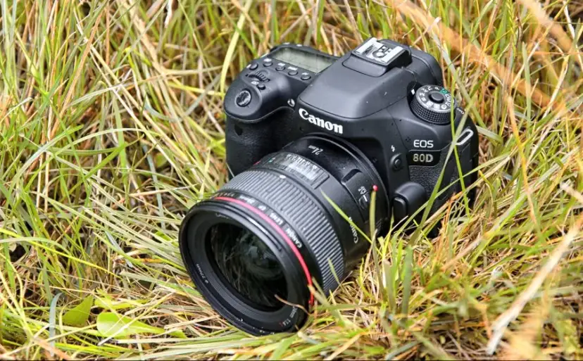Lustrzanka Canon EOS 80D - najlepszy wybór dla zaawansowanych amatorów