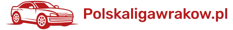 Logo polskaligawrakow.pl