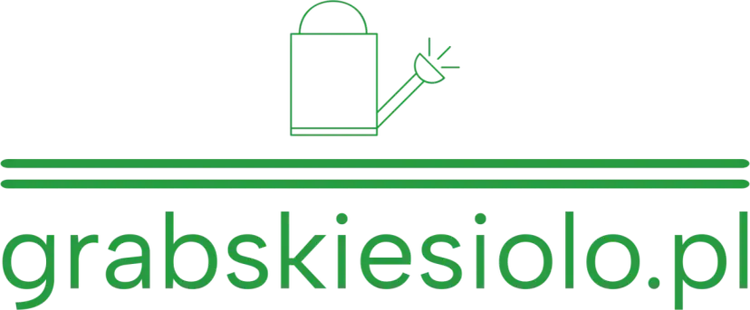 Logo grabskiesiolo.pl