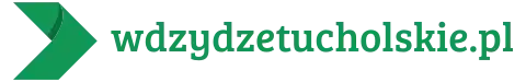 Logo wdzydzetucholskie.pl