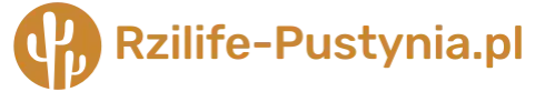 Logo rzilife-pustynia.pl