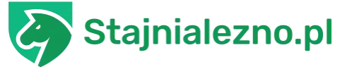 Logo stajnialezno.pl