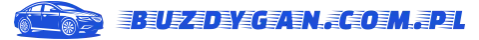 Logo buzdygan.com.pl