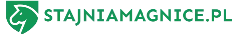 Logo stajniamagnice.pl