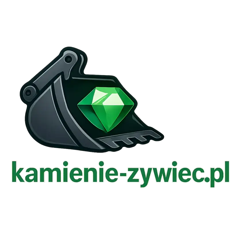 Logo kamienie-zywiec.pl