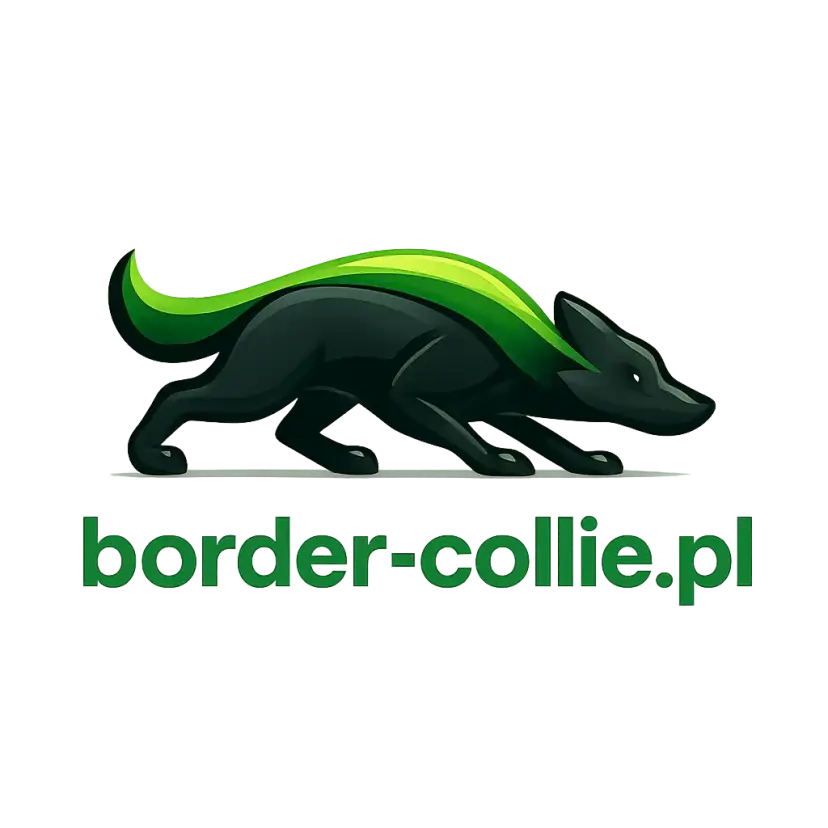 Logo border-collie.pl