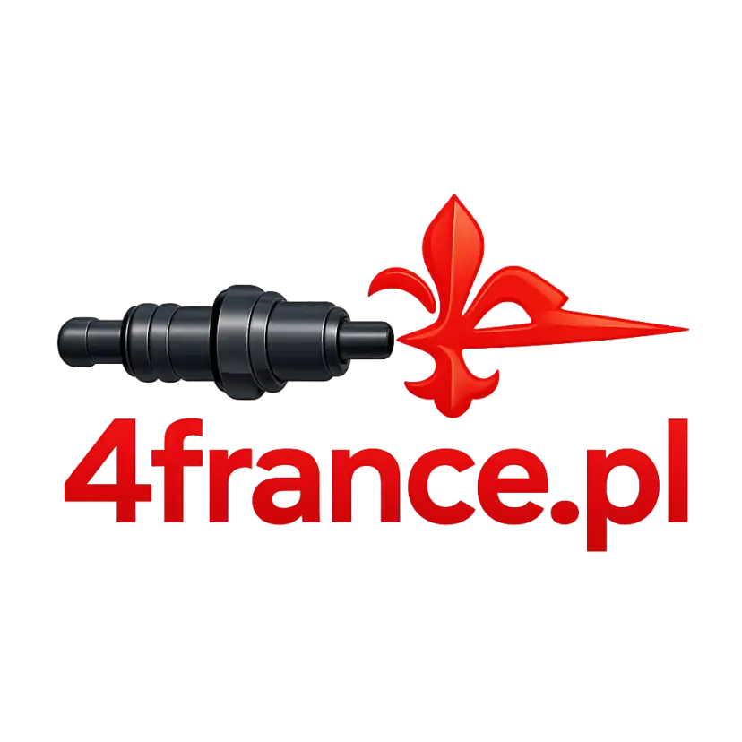 Logo 4france.pl