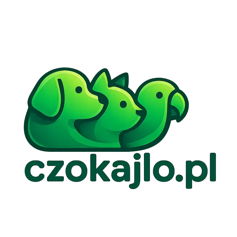 Logo czokajlo.pl