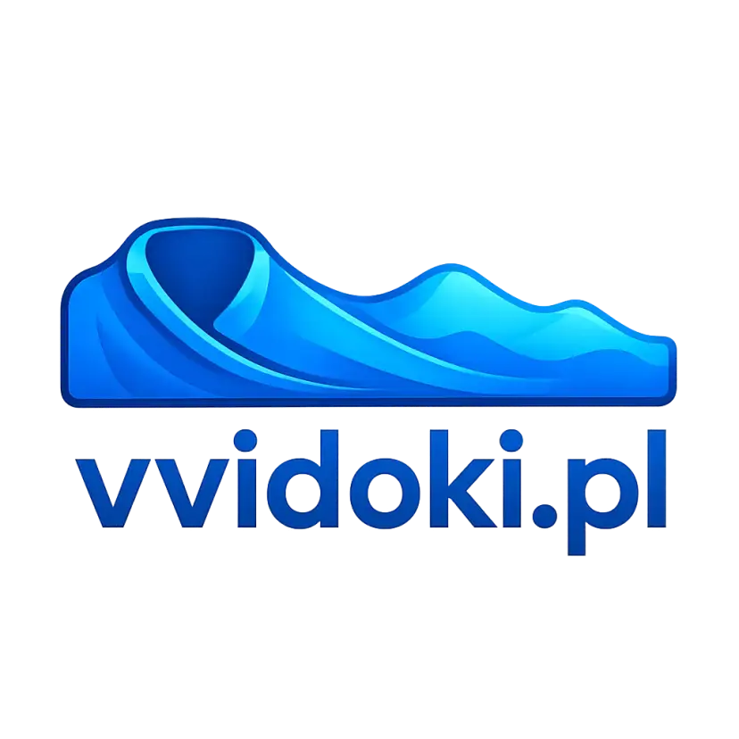 Logo vvidoki.pl
