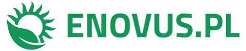 Logo enovus.pl