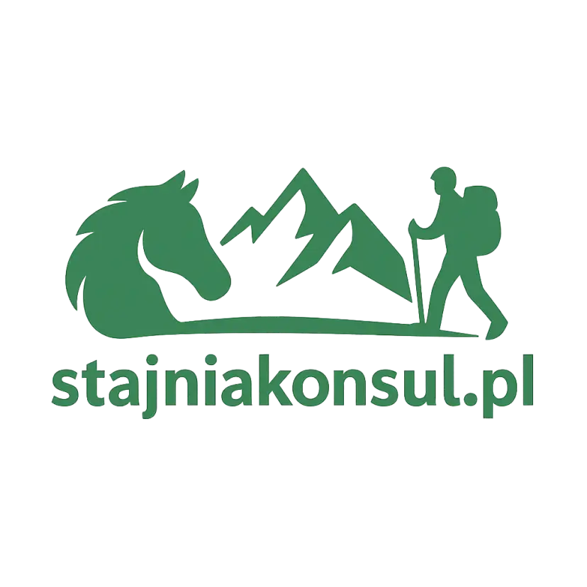 Logo stajniakonsul.pl