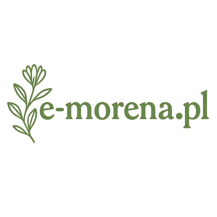 Logo e-morena.pl