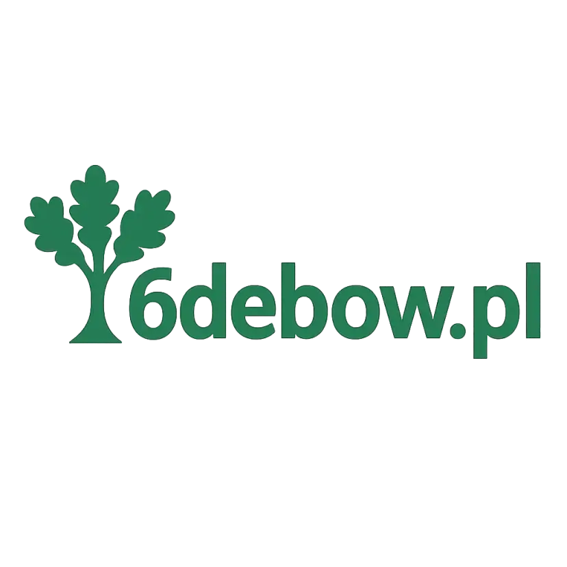 Logo 6debow.pl