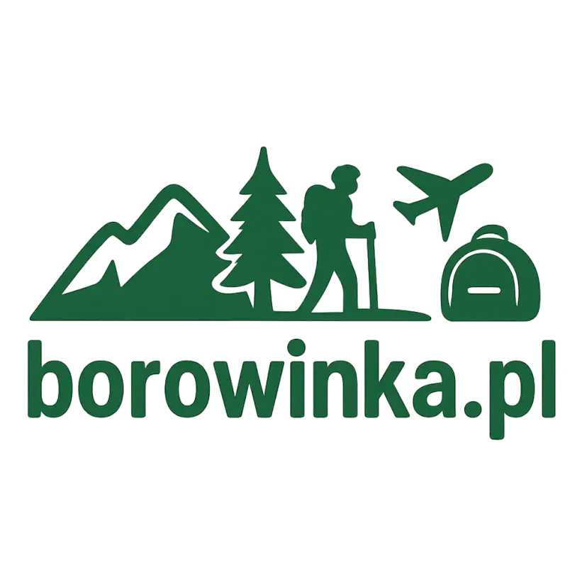 Logo borowinka.pl