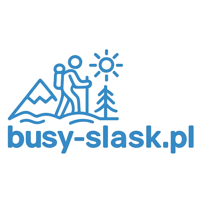 Logo busy-slask.pl