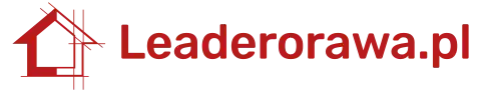 Logo leaderorawa.pl