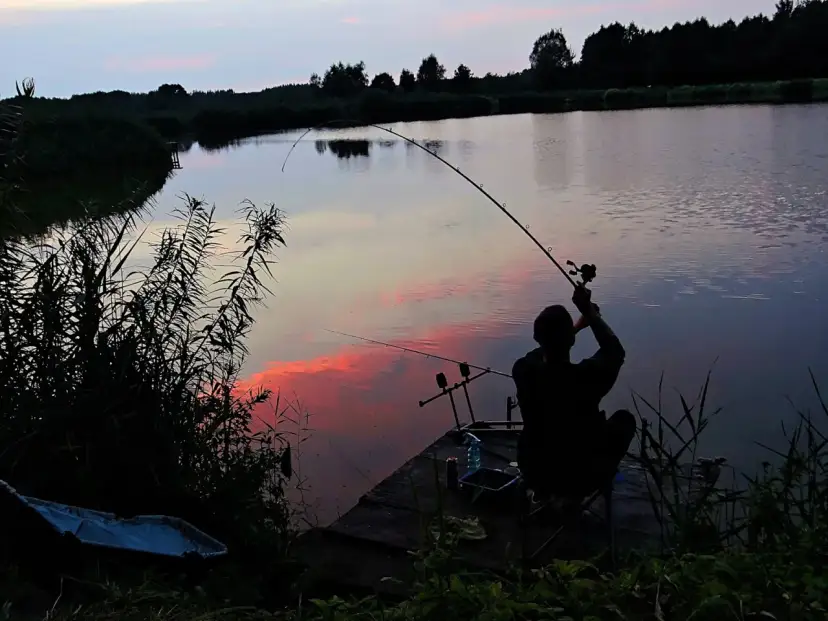 Wędkarz łowiący na feeder przy zachodzie słońca nad jeziorem.