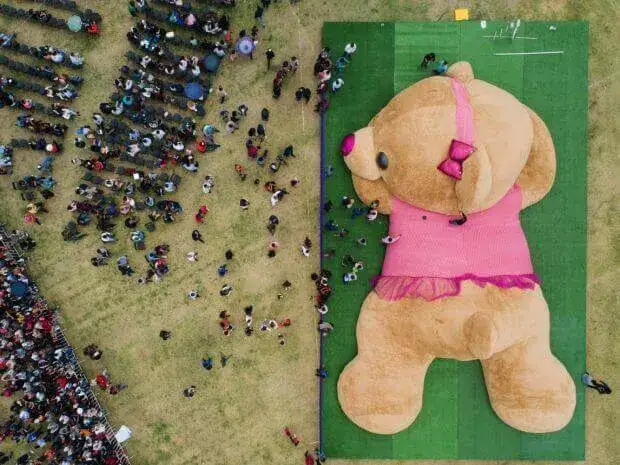 Skąd się wziął pluszowy miś? Fascynująca historia tej zabawki