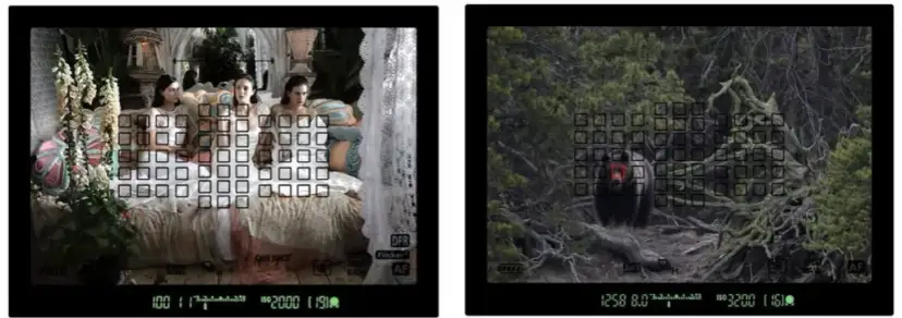 Smartfon vs lustrzanka: Który wybór zapewni lepsze zdjęcia?