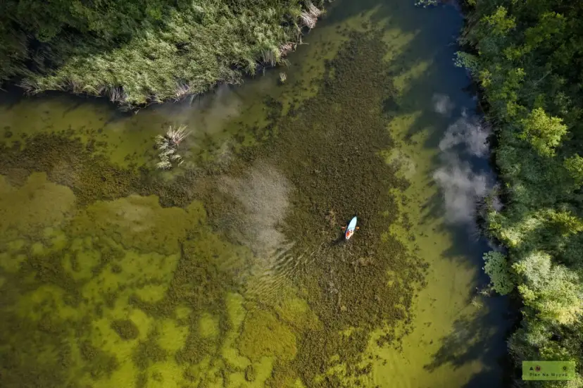 Jezioro Białe Augustowskie: Planuj idealne wakacje! Przewodnik