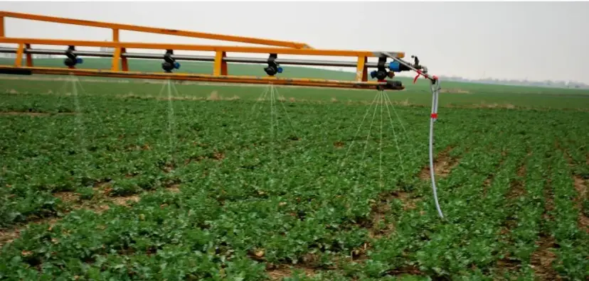 RSM co to za nawóz i jak skutecznie go stosować w uprawach?