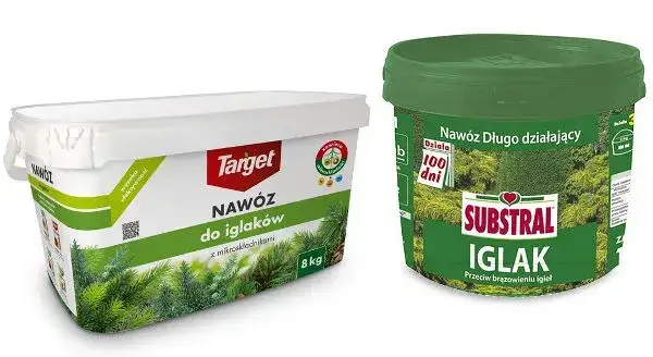 Jaki nawóz do iglaków forum - najlepsze wybory na zdrowe rośliny