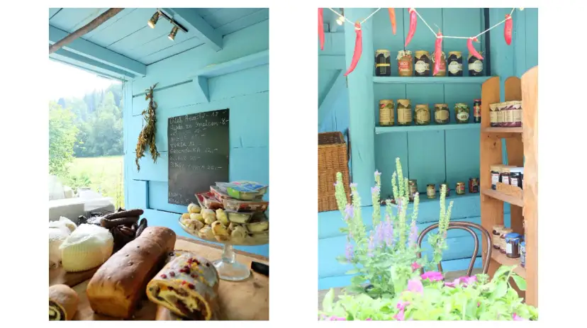 Gdzie zjeść w Ojcowskim Parku Narodowym? Najlepsze miejsca na posiłek