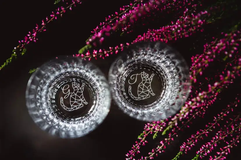 Dwa kieliszki z grawerem kotów i inicjałami G i T. Idealne na 6 rocznicę ślubu nazwa.