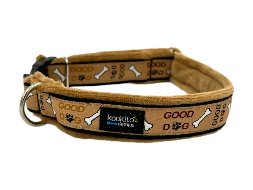 Obroża dla Goldena: Jaka najlepsza dla psa, który kocha wodę?