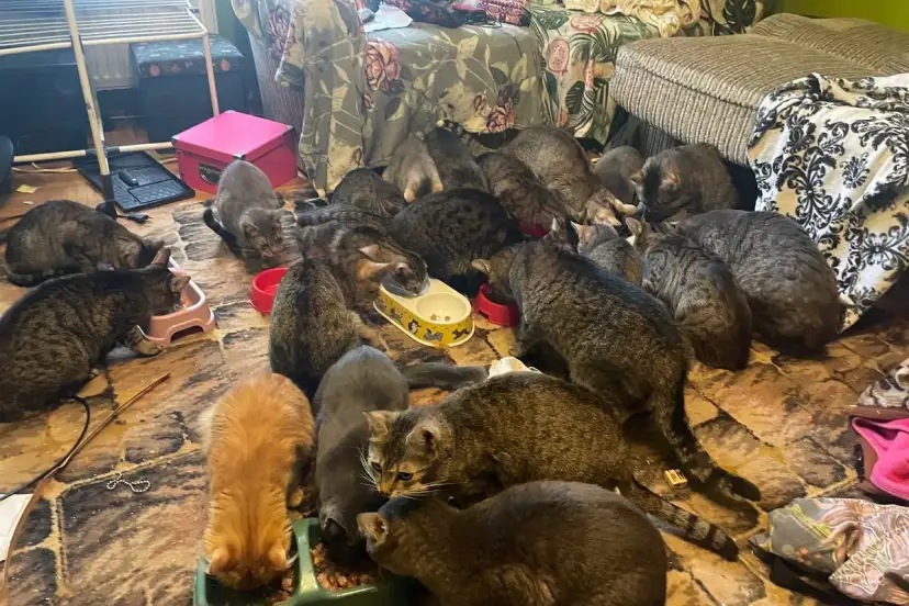 Kiedy sąd odbiera dziecko matce? Przesłanki i procedura prawna