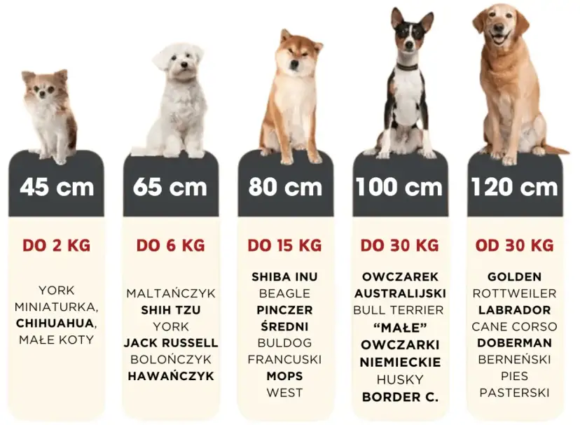 Idealne legowisko dla labradora i innych dużych psów. Tabela rozmiarów od 45 do 120 cm.