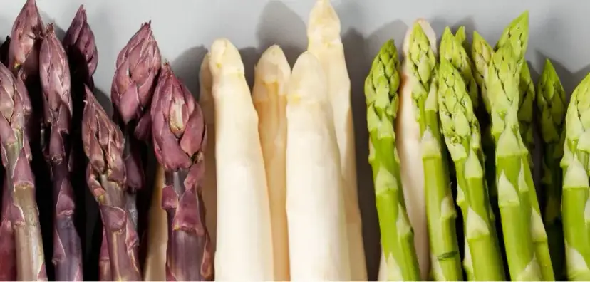 Sezon na szparagi w Polsce: Kiedy zaczyna się i kończy?