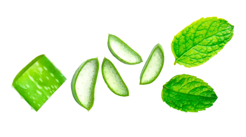 Co zrobić na ból dziąsła? Szybka ulga i kiedy do dentysty